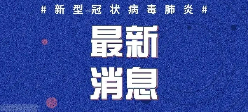 全球冠狀病毒疫情最新動態(tài)，全球態(tài)勢與應(yīng)對策略揭秘